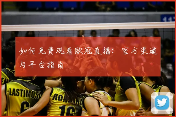 如何免费观看欧冠直播：官方渠道与平台指南