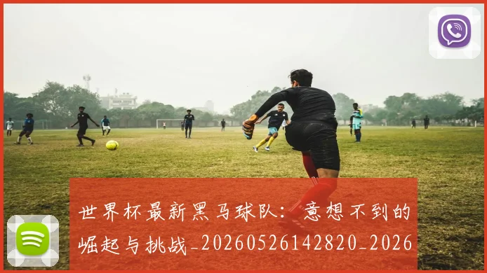 世界杯最新黑马球队：意想不到的崛起与挑战_20260526142820_20260703203733