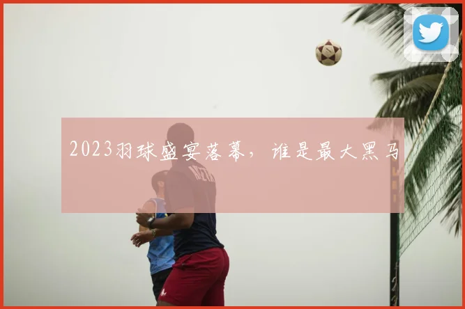2023羽球盛宴落幕，谁是最大黑马