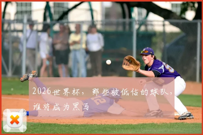 2026世界杯，那些被低估的球队，谁将成为黑马